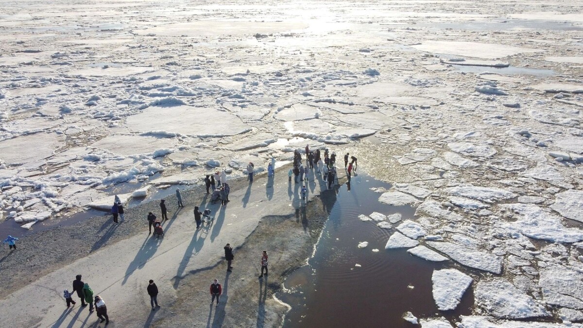    Фото: Андрей Ткачев/«Ямал-Медиа»