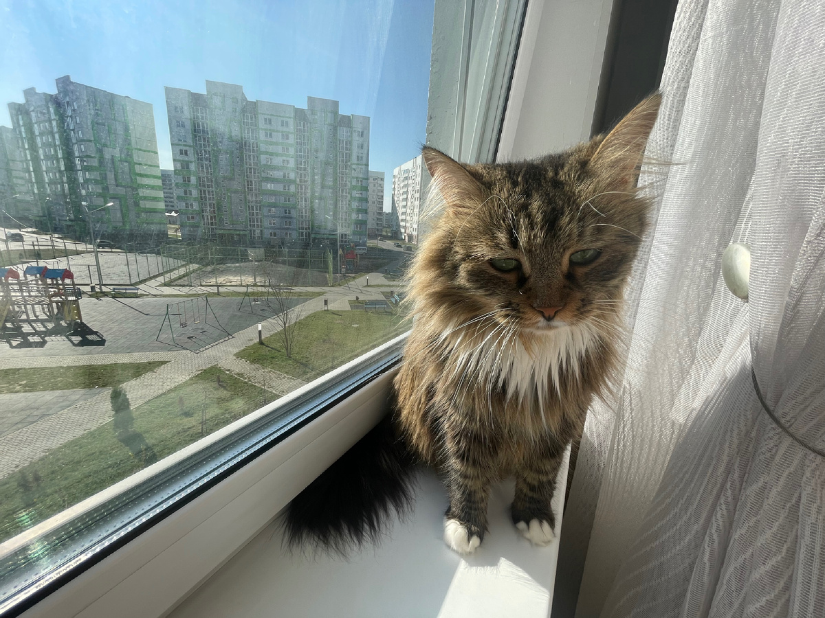 Здравствуйте! Это я! 