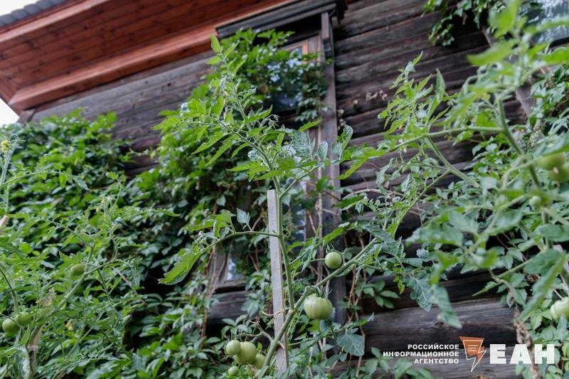    Архивное фото ЕАН