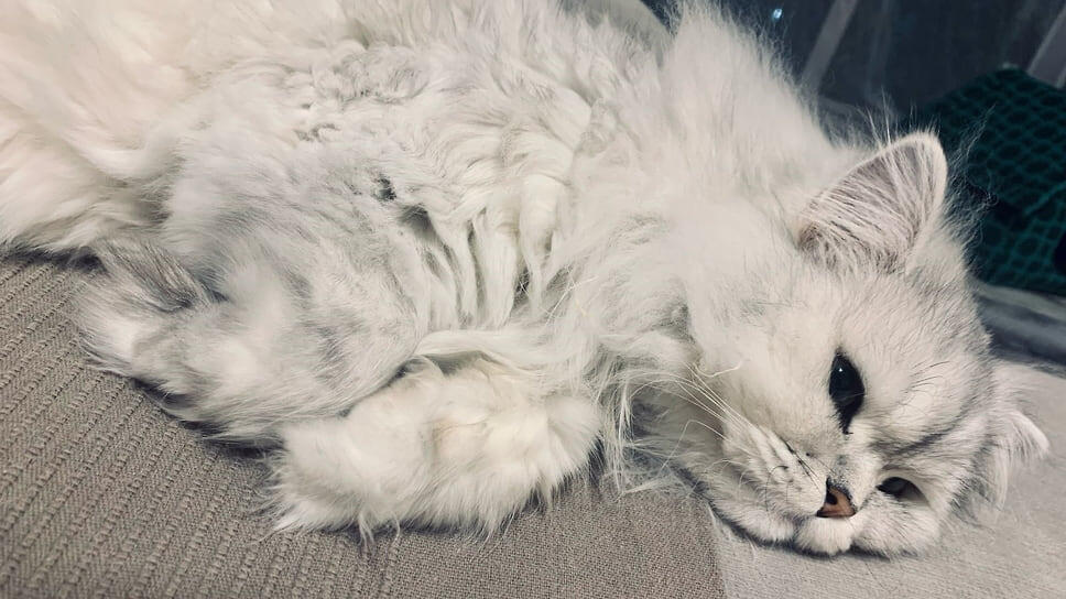 Фото: Наталья Селева / Коммерсантъ