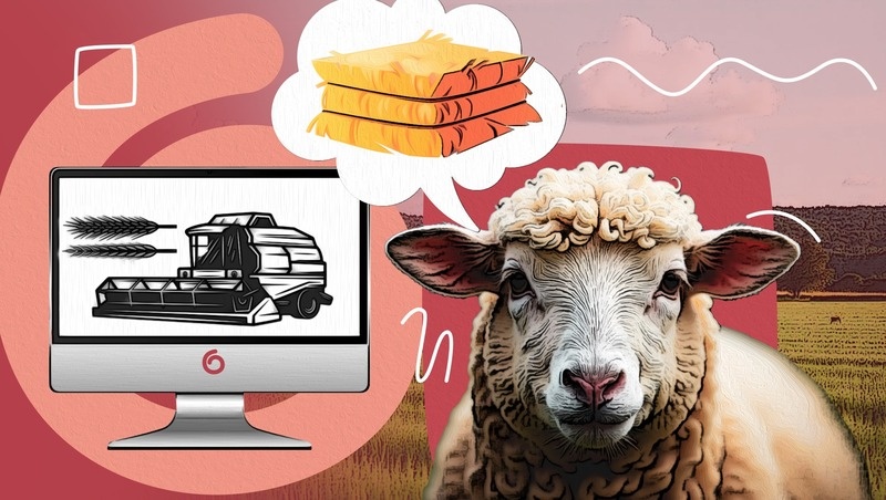      Фото: Алина Гулиян / / ИА «Победа26»