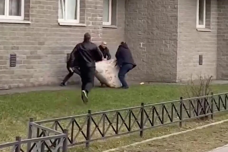 На помощь бросились трое неравнодушных. Фото: скриншот видео