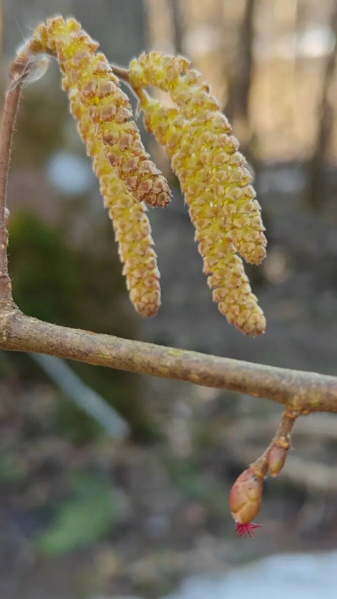    Фото: скриншот видео из telegram-канала Павла Глазкова «Каждой твари по паре»