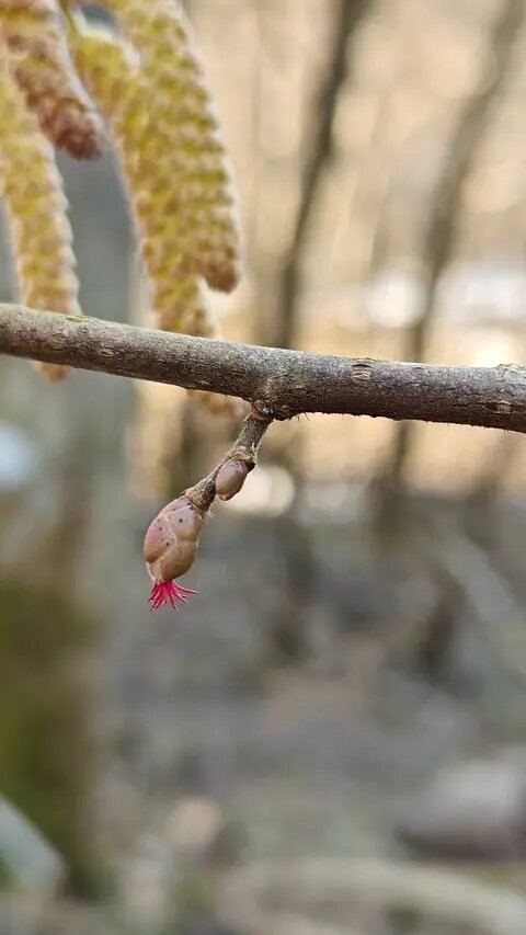    Фото: скриншот видео из telegram-канала Павла Глазкова «Каждой твари по паре»