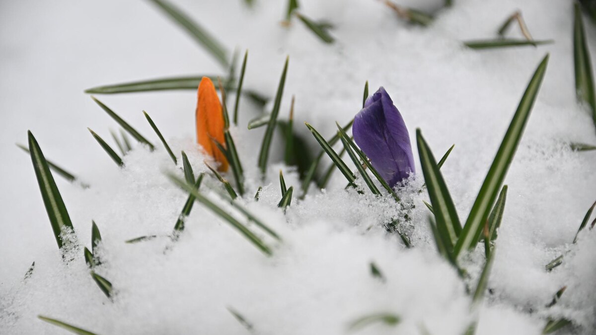   Фото: Komsomolskaya Pravda/globallookpress.com