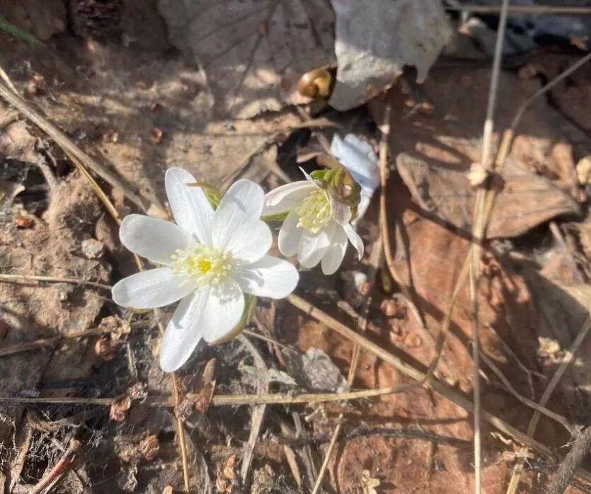 Фото: Нацпарк «Таганай»