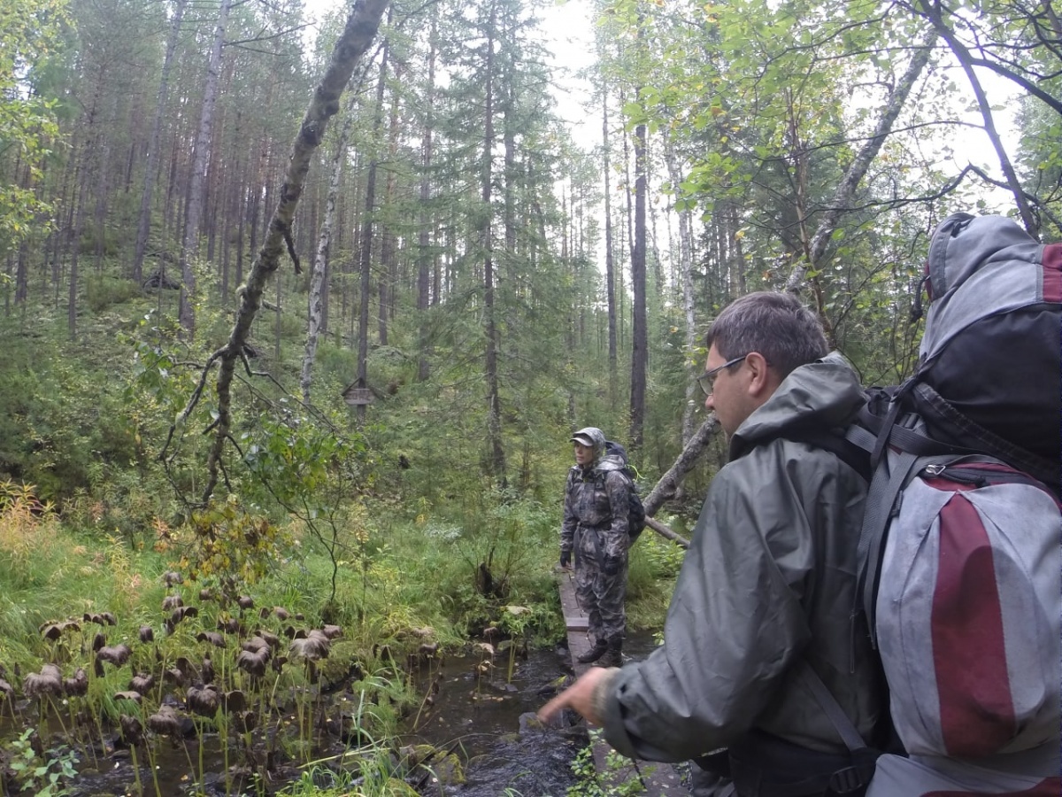    Секреты Тунгусского метеорита: что же произошло над Сибирью?