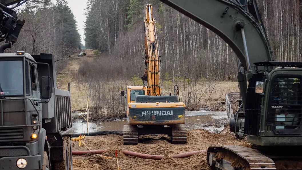    Фото: IMAGO/Robertas Riabovas/Globallookpress