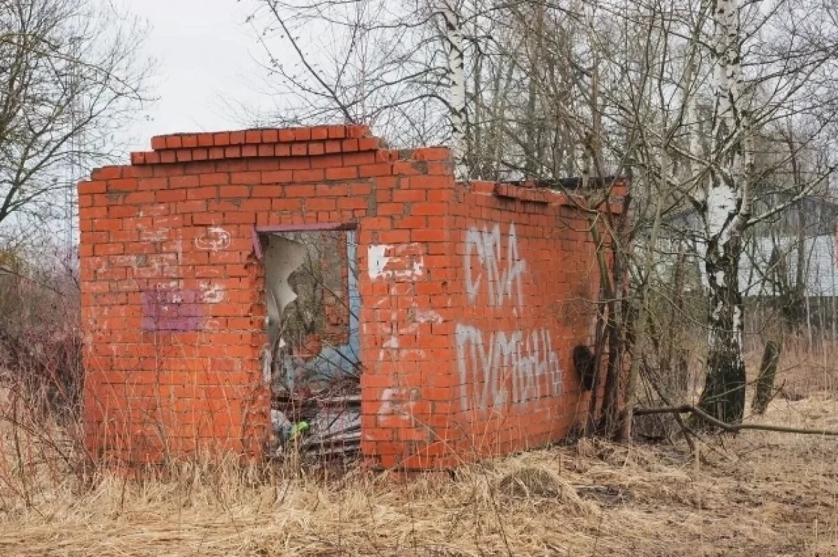    Дачу-заброшку отберут.