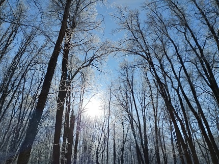 Фотография из личного архива автора
