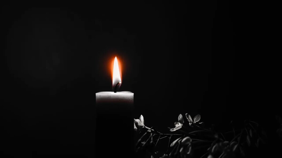    Сгенерировано ИИ