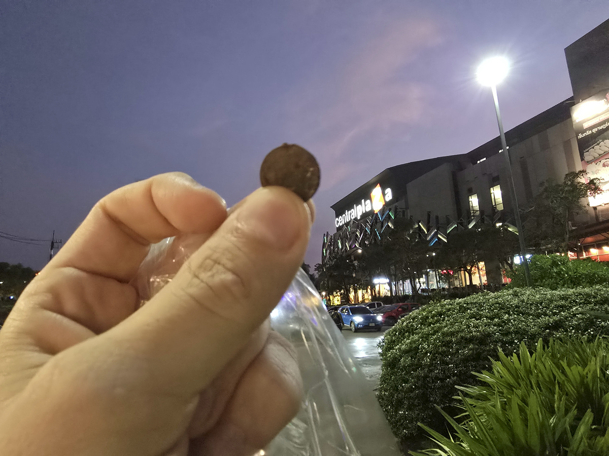 монета 25 тайских сатангов