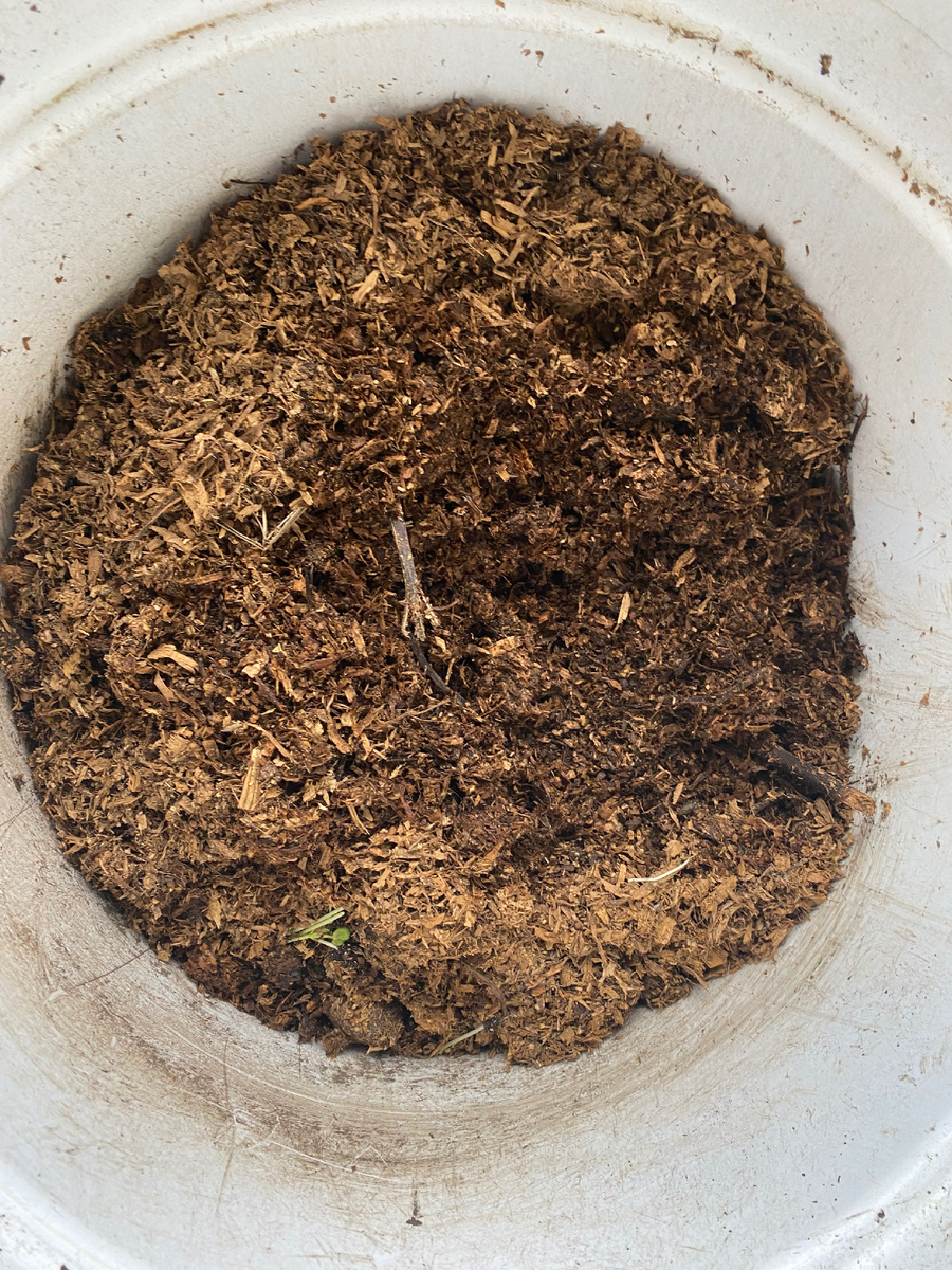 Опилки. Привожу их с конюшни 