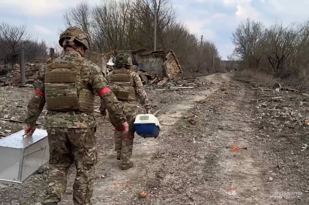    Комитет ГД одобрил проект о статусе ветерана для бойцов в Курской области