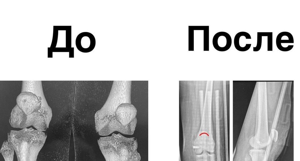    пресс-служба Детского клинического центра имени Л.М. Рошаля