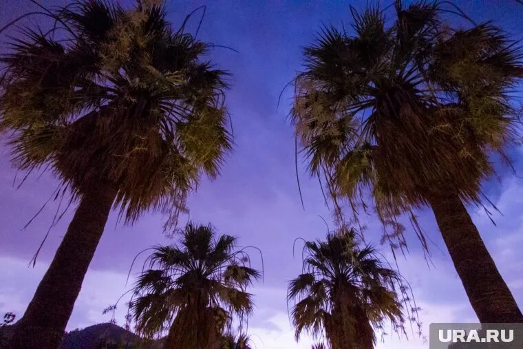 Первый вылет состоится 27 апреля. Фото: Владимир Андреев © URA.RU