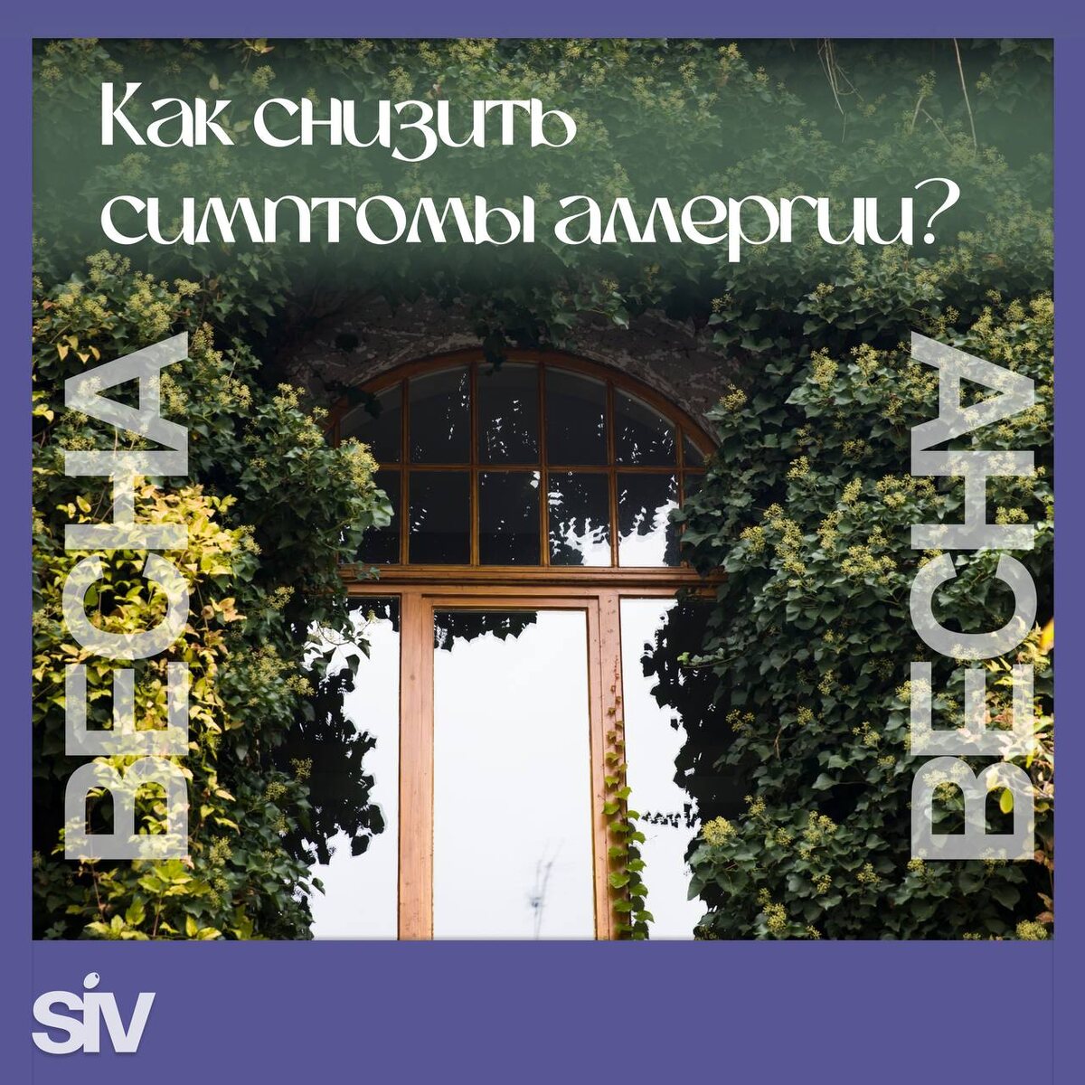 Ирина Селиванова - нутрициолог