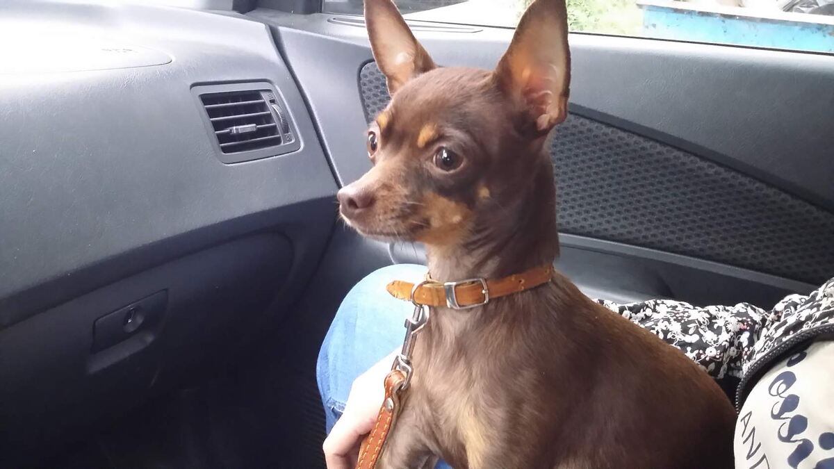 Масянечка. Фото Автора