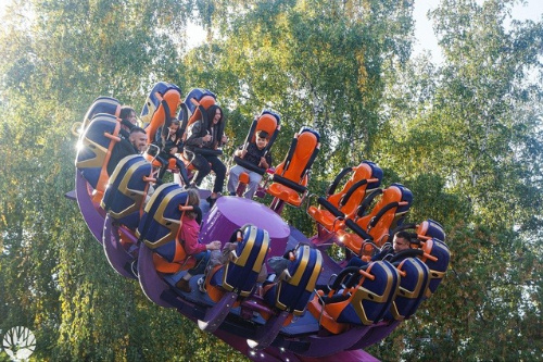    Фото: Дирекция городских парков