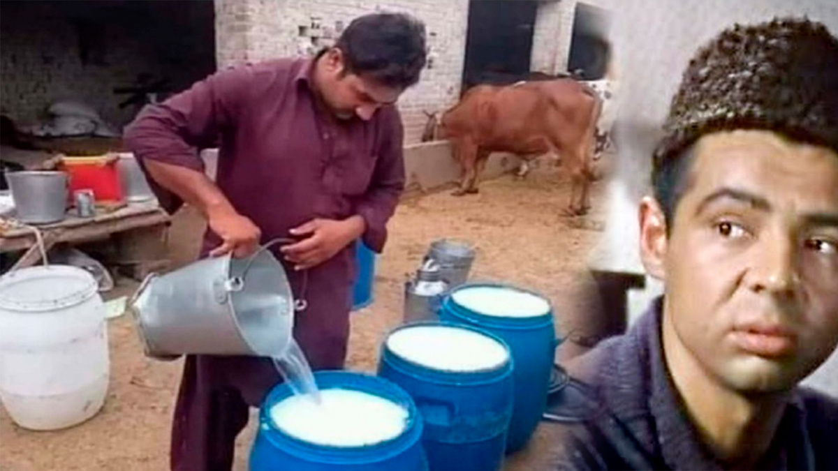 Фото с просторов интернета