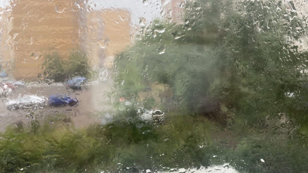 Фото Юлии Бидун, «РТ»