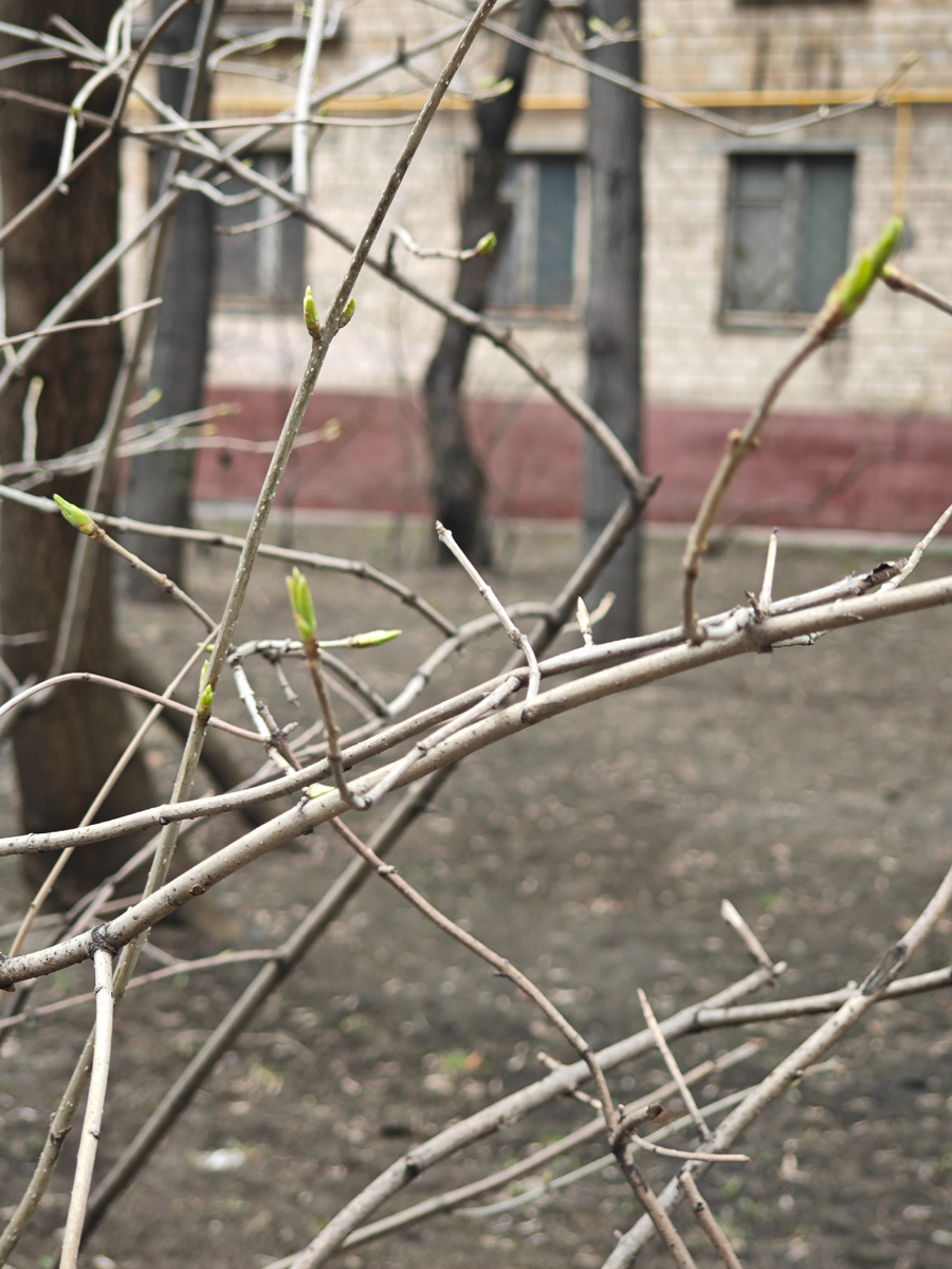 Фото автора канала 