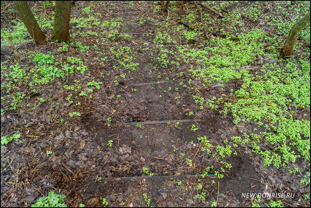 Спуск в пойму