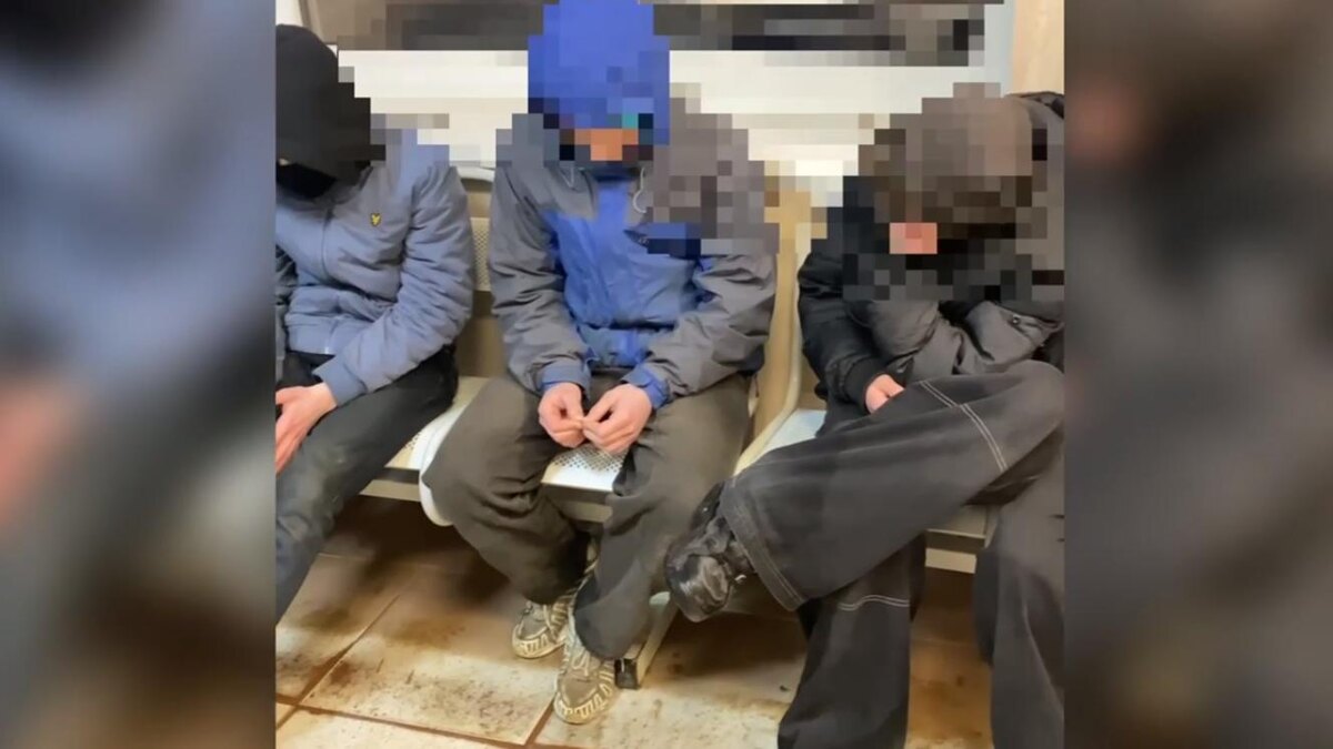    Фото: t.me/mvdszfo