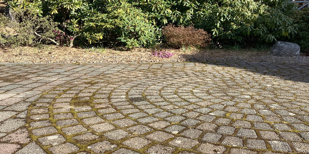 Мыть или не мыть, вот в чем вопрос!