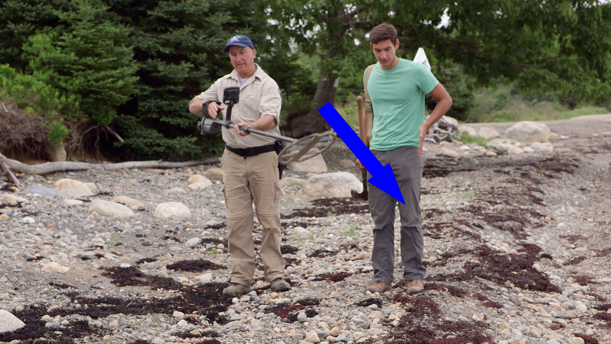    Свиньи-каннибалы: проклятие острова Оук