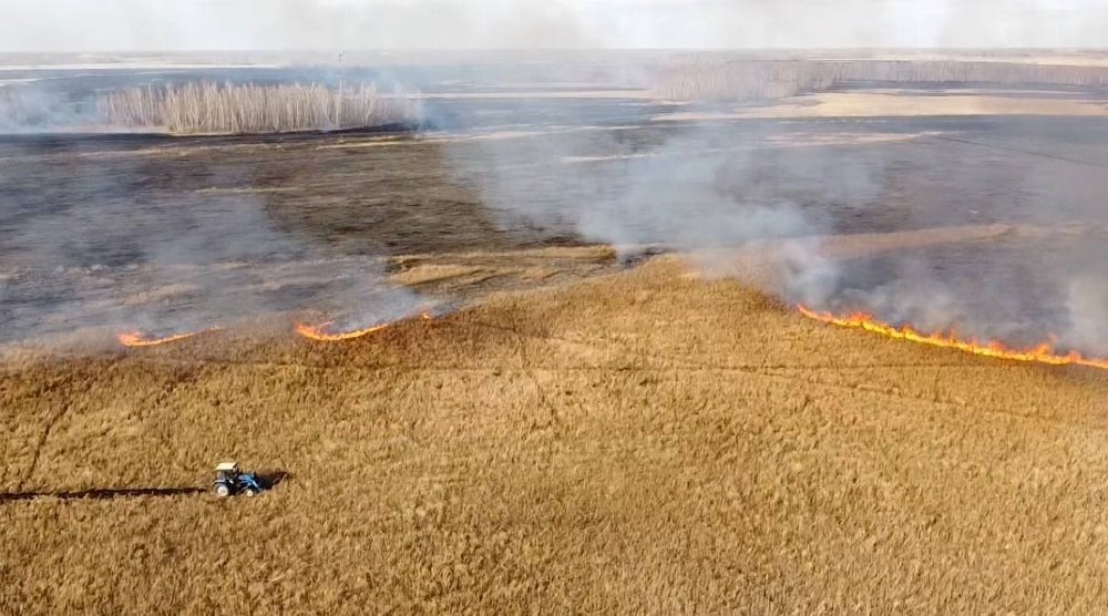 Фото: Иван Ромашенко, руководитель Увельского лесхоза