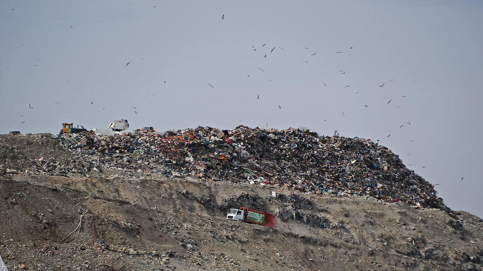 Фото: Юрий Березнюк