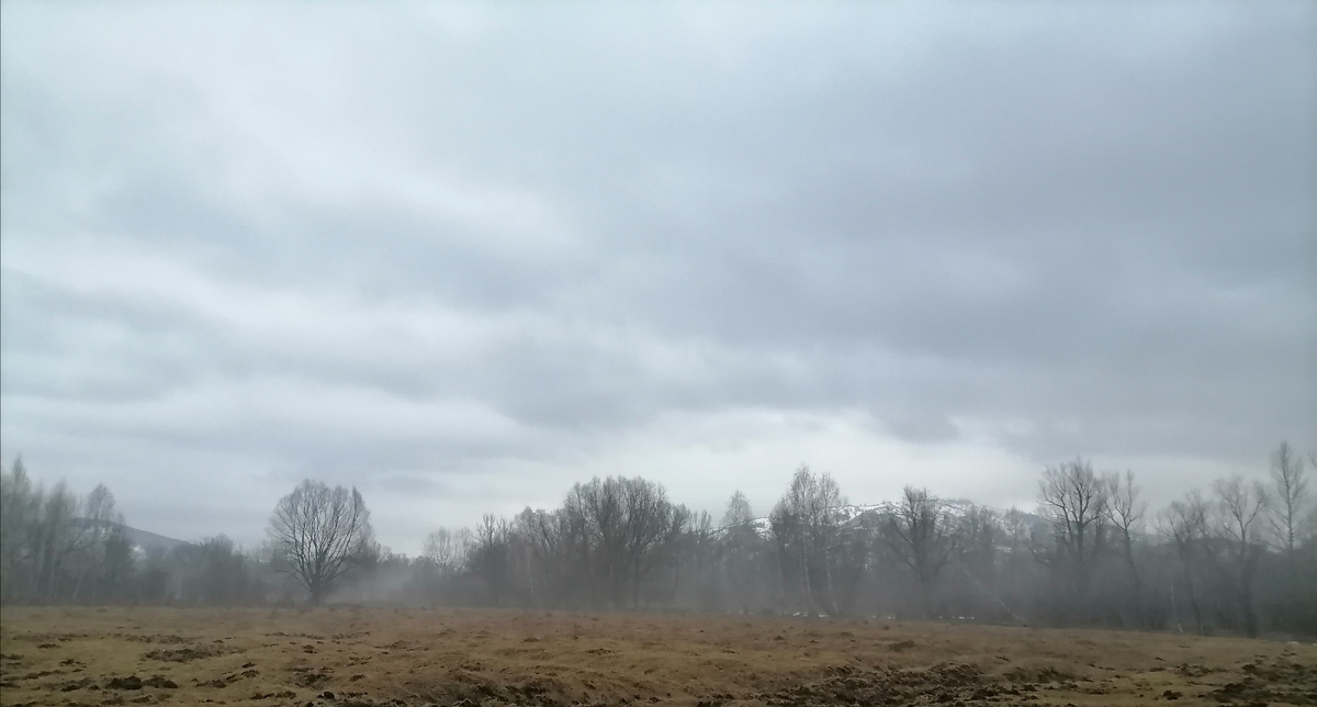 Утренняя серость в тумане.