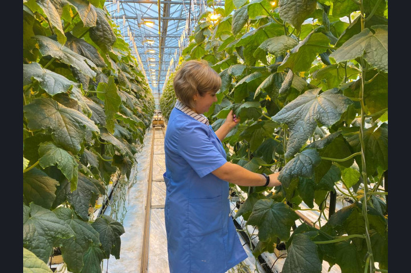    Фото: правительство НСО