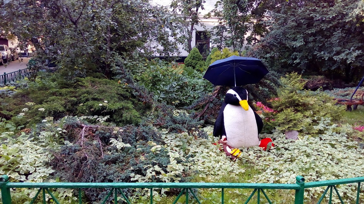 Московский двор на Плющихе