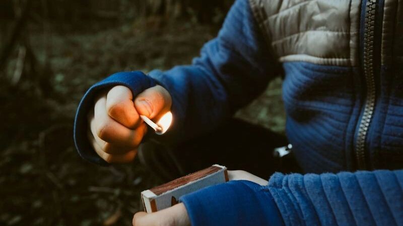    Фото: rbkomar/Shutterstock/Fotodom