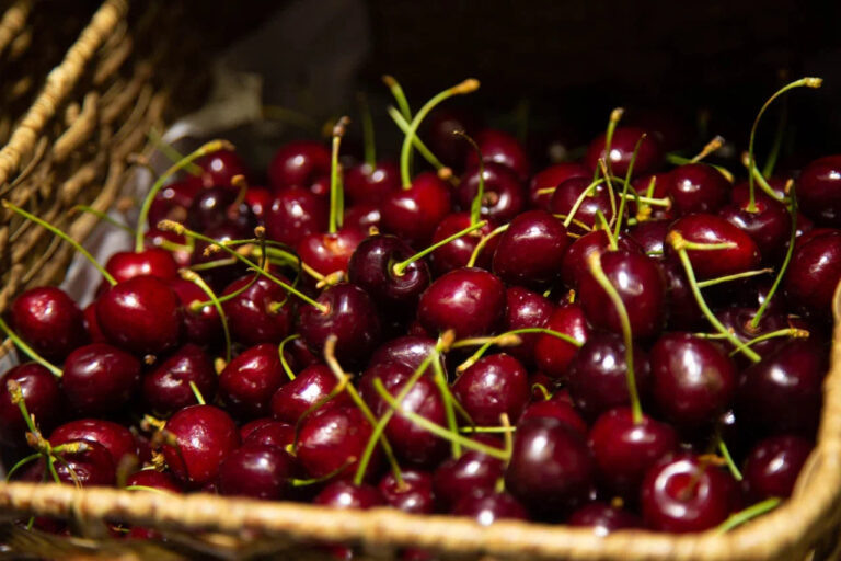    Фото: Общественная Служба Новостей Александра Горохова