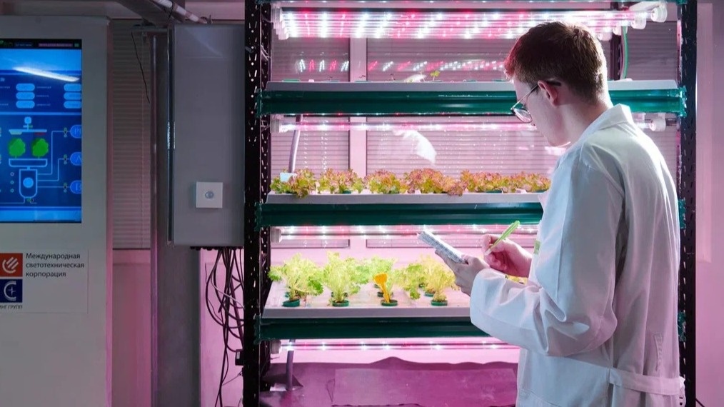    Фото: vm.ru Георгий