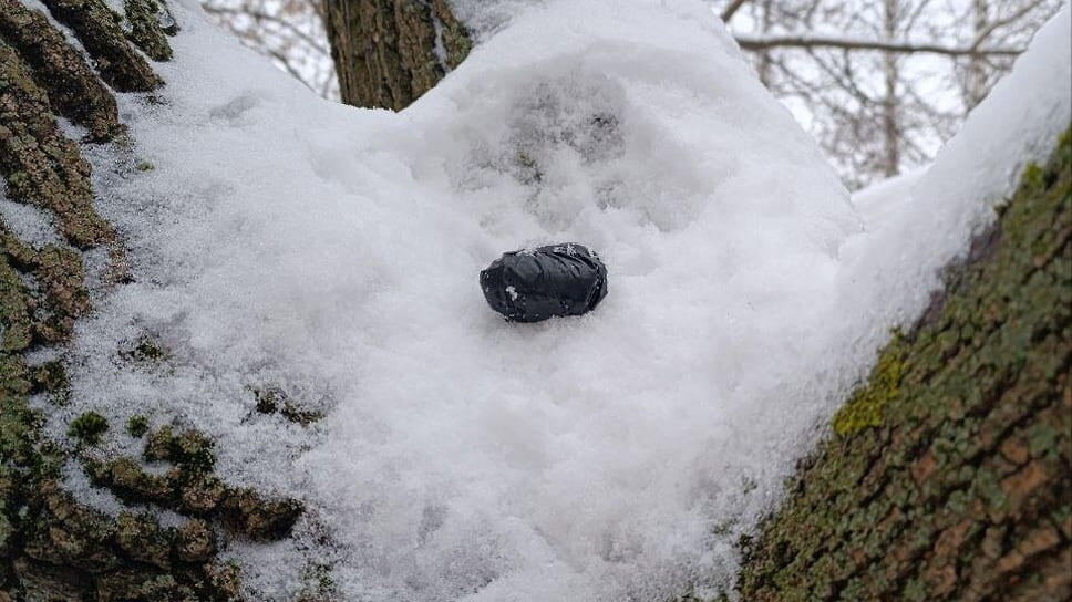 Фото: Пресс-служба МВД по Удмуртии