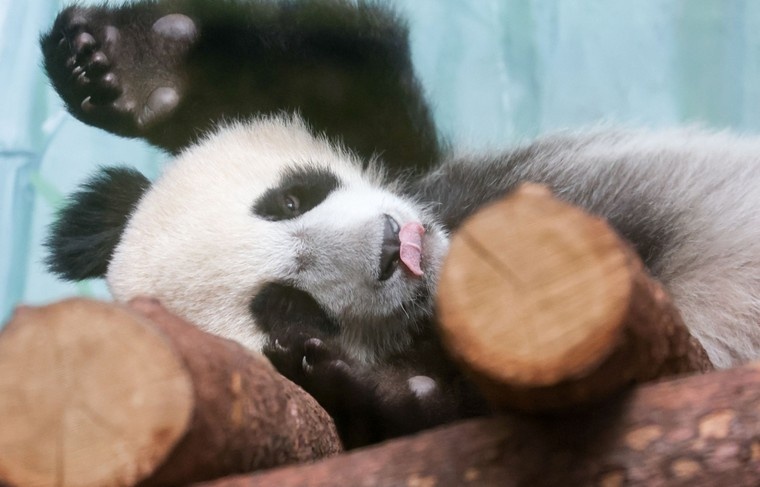    Алексей Белкин/NEWS.ru