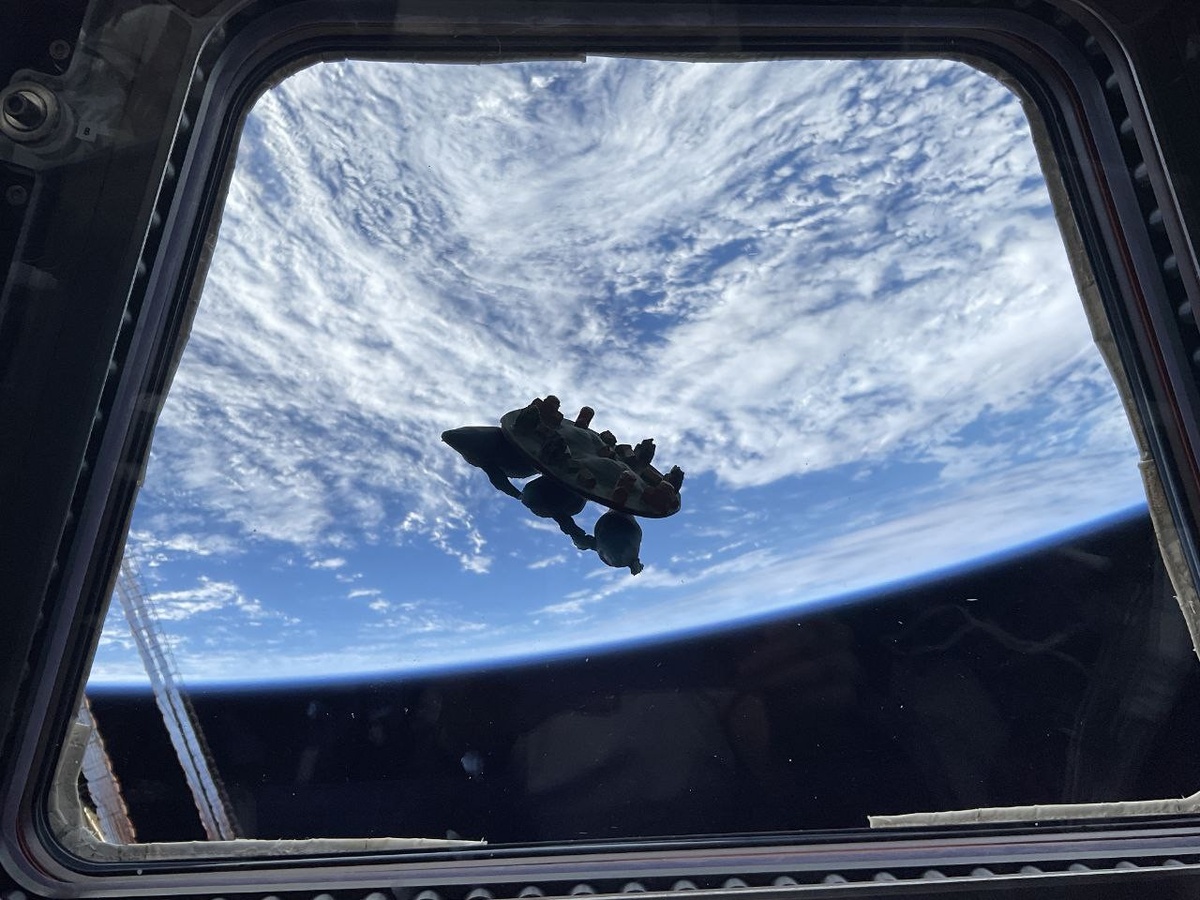 Источник: vk.com/ivan_mks