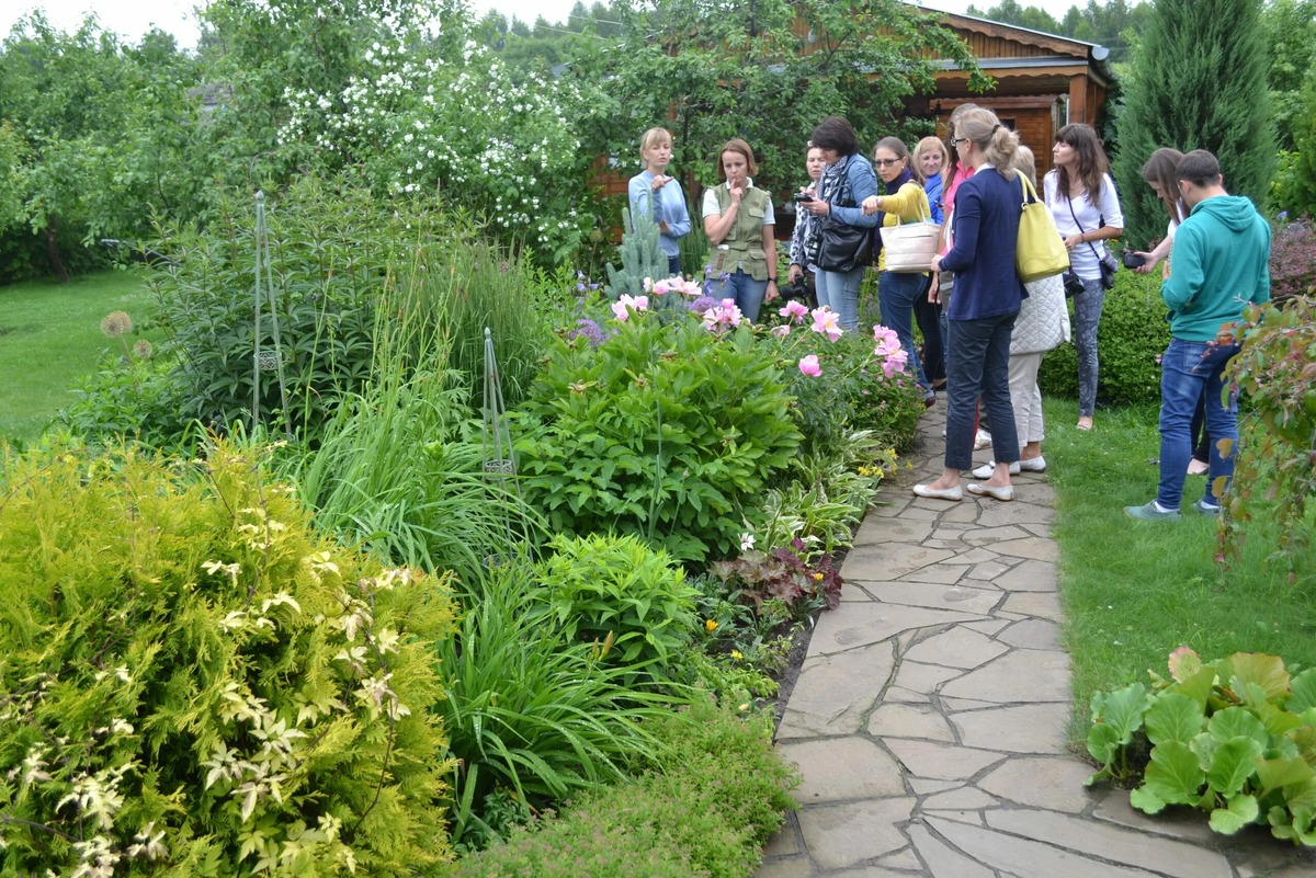    Куда учиться ландшафтному дизайну в Москве и Петербурге