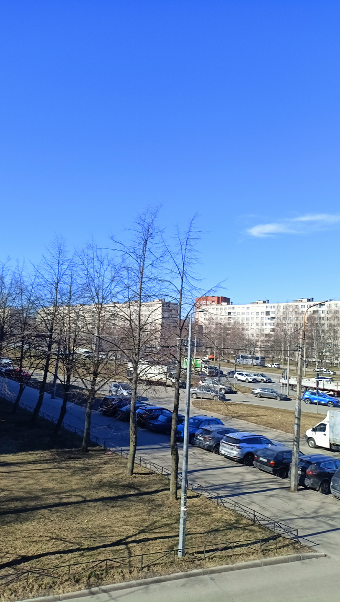 Фото автора. 11.30 СПб.