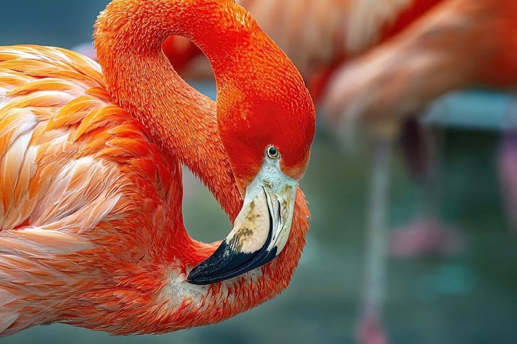    Фото Андрея Заржецкого