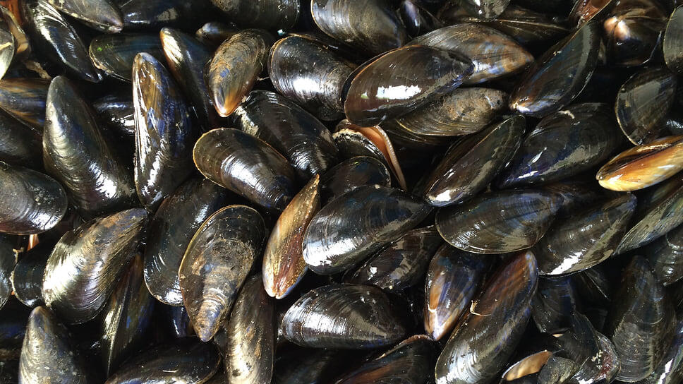 Фото: pxhere.com