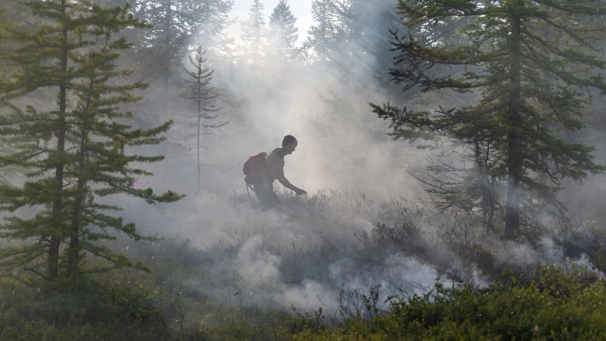    Фото: Юлия Чудинова/«Ямал-Медиа»