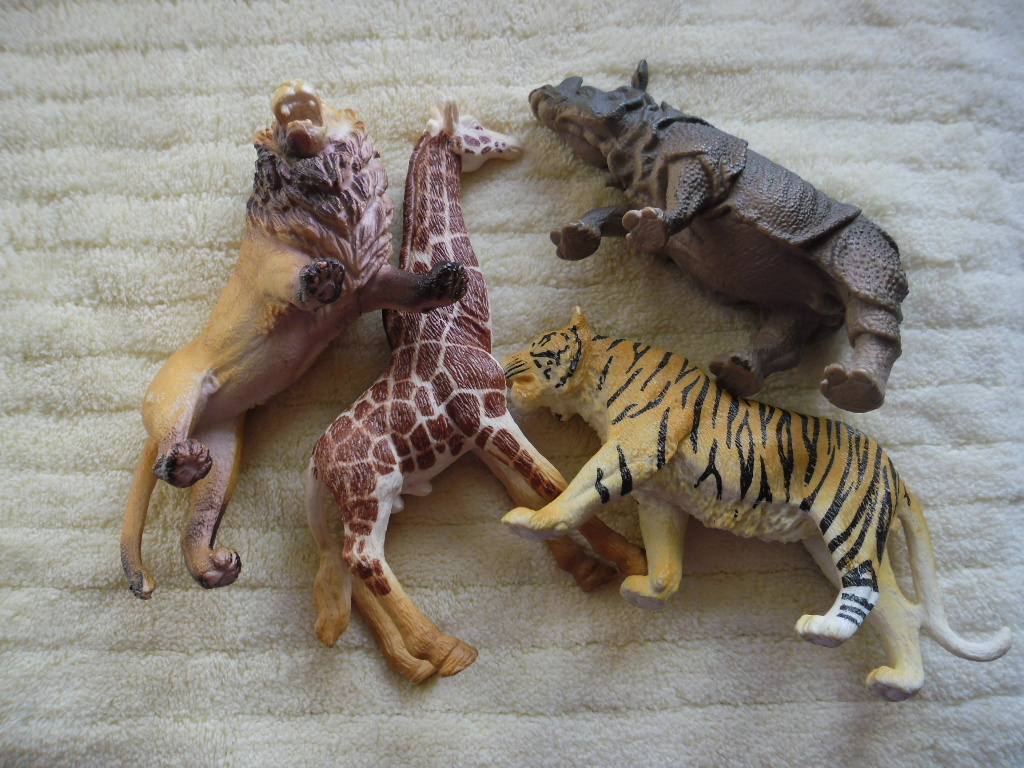 животные, куплены лет 6 назад