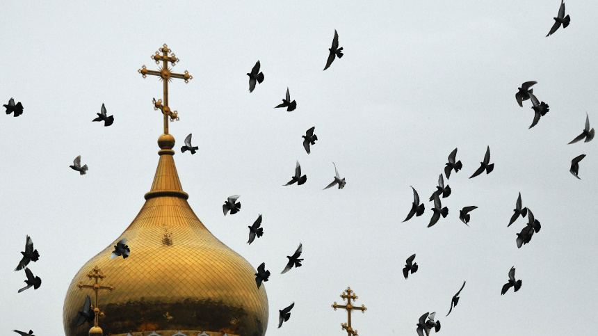    Фото: © РИА Новости/Виталий Аньков; 5-tv.ru