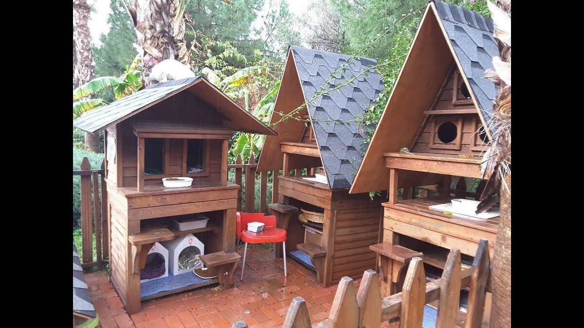 Картинки Яндекс.