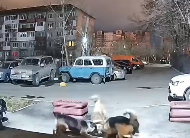    Фото: скрин с видео в тг-канале «Инцидент Омск»